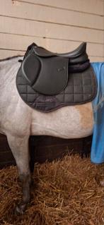 Selle à vendre, Enlèvement