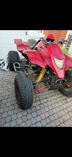 Quad 300cc, Motoren, 2 cilinders, 300 cc