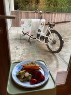 Boîte blanche Urban Arrow Cargo L, Autres marques, 47 à 51 cm, Enlèvement, Utilisé