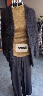 Leuke broek, topje en vestje, Kleding | Dames, Gelegenheidskleding, Ophalen of Verzenden