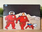 Plaque murale en métal Tintin, Enlèvement ou Envoi, Tintin, Neuf, Image, Affiche ou Autocollant