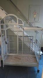 Papegaainkooi, Dieren en Toebehoren