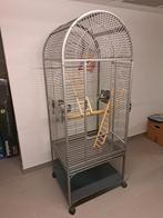 Volière/cage perruche/perroquet, Dieren en Toebehoren, Vogels | Hokken en Kooien, Ophalen, Zo goed als nieuw, Volière