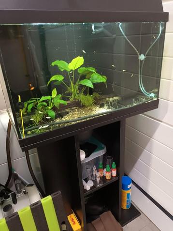 Juwel aquarium met visjes en toebehoren  beschikbaar voor biedingen