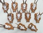 OPRUIMING : 11 x REE GEWEI op houten schild met kaakdeeltjes, Enlèvement ou Envoi, Utilisé, Cerf, Bois ou Tête
