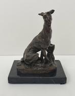 bronzen windhond greyhound zitende hond, Antiek en Kunst, Ophalen of Verzenden