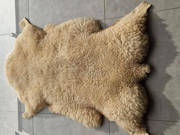 Xl origineel schapenvacht  beschikbaar voor biedingen