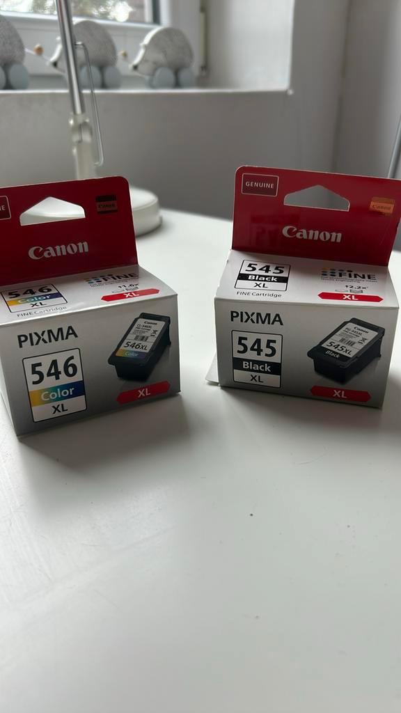Canon PG-546XL, Computers en Software, Printerbenodigdheden, Nieuw, Cartridge, Ophalen