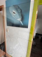 Glazen douchewand (Balmani modular glaspaneel), Huis en Inrichting, Ophalen, Gebruikt, Met douche