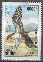 Laos 1993 - Yvert 1101 - Oiseau proie Circaetus gallicu (ST), Envoi
