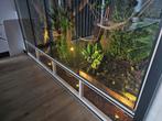 Terrarium iguane, Dieren en Toebehoren, Ophalen of Verzenden, Zo goed als nieuw