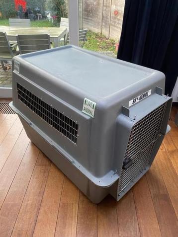  XXL transportkooi voor vliegtuigen - Sky Kennel - Grote h beschikbaar voor biedingen