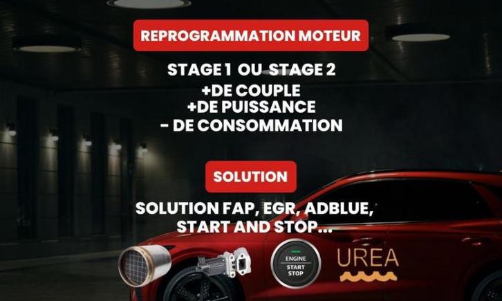 Reprogrammation stage 1/2 solution FAP EGR UREA ADBLUE DTC, Auto-onderdelen, Overige Auto-onderdelen, Ophalen of Verzenden