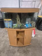 Juwel aquarium 180l, Enlèvement