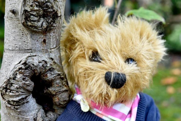 Teddybeer Beerten, Verzamelen, Beren en Cherished Teddies, Zo goed als nieuw, Stoffen beer, Overige merken, Ophalen of Verzenden