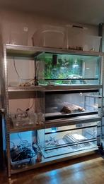 Volledige setup met koppel en heel veel extra's, Animaux & Accessoires, Reptiles & Amphibiens | Accessoires, Comme neuf, Enlèvement ou Envoi