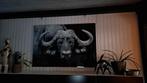 glazen kader van Afrikaanse buffel, Huis en Inrichting, Ophalen, Zo goed als nieuw, 100 tot 125 cm, Foto of Poster