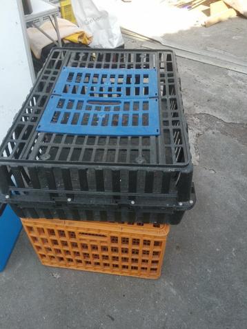 Twee kooien om kippen te vervoeren beschikbaar voor biedingen