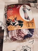 Carnaval kostuum popstar L, Enlèvement ou Envoi, Utilisé, Fille