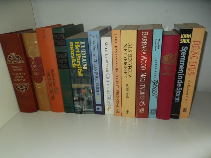 lot met 14 romans, Boeken, Romans, Ophalen of Verzenden