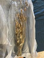 Lagurus Ovatus Naturel droogbloemen, Ophalen of Verzenden, Zo goed als nieuw