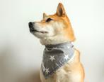 Bandana gris pour chien avec étoiles blanches, Animaux & Accessoires, Enlèvement ou Envoi, Comme neuf, Foulard pour chien