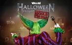 Walibi Holland-ticket, Tickets en Kaartjes, Twee personen, Ticket of Toegangskaart