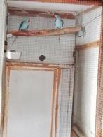 Grote Alexander 2.0 blauw 24 -25, Geringd