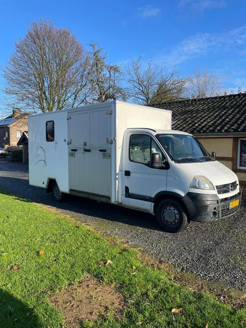 Mooie Opel movano paardenwagen Camionette, Dieren en Toebehoren, Paarden en Pony's | Trailers en Aanhangwagens, Zo goed als nieuw