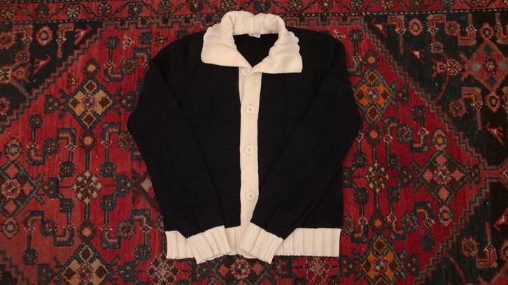 100% originele Louis Vuitton sweater, Kleding | Dames, Truien en Vesten, Zo goed als nieuw, Ophalen