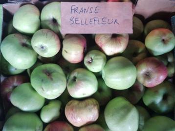 bio appels beschikbaar voor biedingen