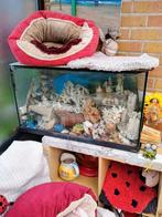 Aquarium, Ophalen, Zo goed als nieuw