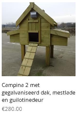 KIPPENHOK KOOPDAG ZONDAG 4 JANUARI, Animaux & Accessoires, Volatiles | Accessoires, Enlèvement ou Envoi