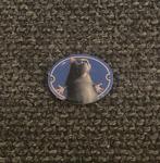 PIN - DISNEY - RATATOUILLE, Verzamelen, Verzenden, Gebruikt, Figuurtje, Speldje of Pin