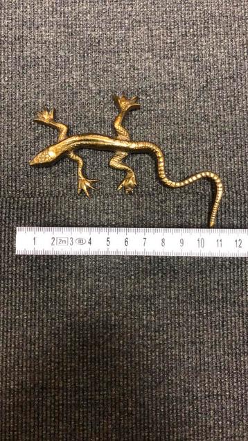 Hagedis/salamander  beschikbaar voor biedingen