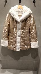 Veste dame hiver, Overige kleuren, Nieuw, COLYNN, Ophalen