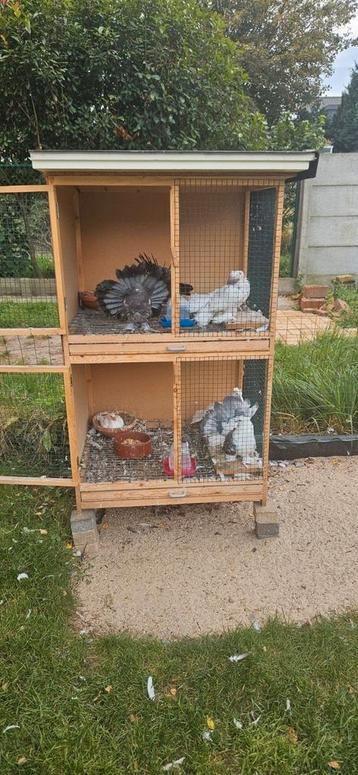 Vogel of kippen kooi, Dieren en Toebehoren, Ophalen