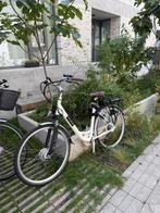 Elekteische fiets - Fongers, Fietsen en Brommers, Ophalen