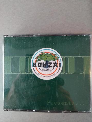 2cd box. Bonzai 11. beschikbaar voor biedingen