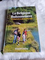Livre sur la belgique, Livres, Guides touristiques, Enlèvement, Utilisé