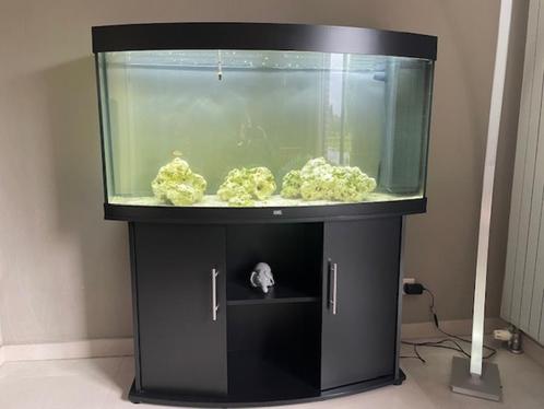 Aquarium Juwel Vision 260 liter LED, Dieren en Toebehoren, Vissen | Aquaria en Toebehoren, Zo goed als nieuw, Leeg aquarium, Ophalen of Verzenden