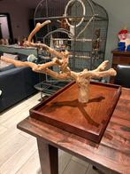 Javaboom met voederbak. Nieuw!, Dieren en Toebehoren, Vogels | Toebehoren, Ophalen, Nieuw, Kooi-accessoires