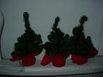 Mini kerstboompjes, Ophalen of Verzenden, Zo goed als nieuw