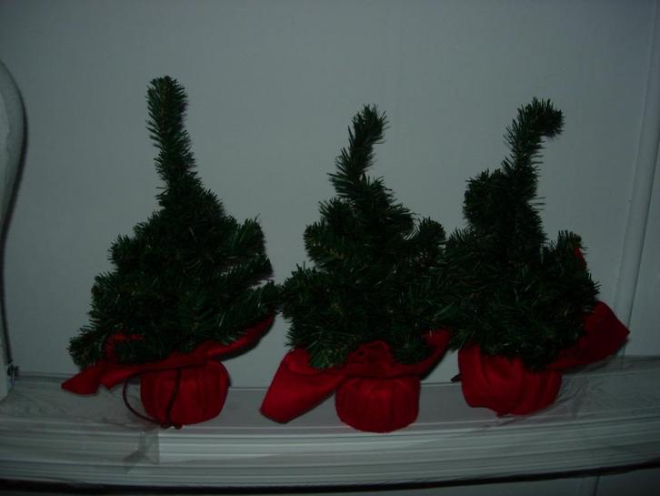 Mini kerstboompjes, Diversen, Kerst, Zo goed als nieuw, Ophalen of Verzenden