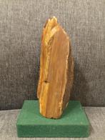 Fossiel hout Canada, Ophalen of Verzenden, Fossiel