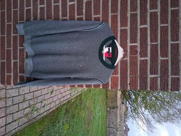 Heren Sweater/Trui Tommy Hilfiger Maat M  beschikbaar voor biedingen