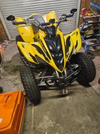 Yamaha raptor 350r