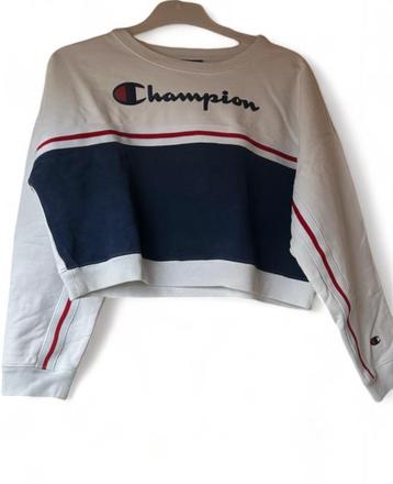 Petit pull Champion, Envoi, Porté
