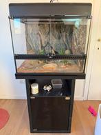 Terrium 45 x 60 x 45 + meubel, Met terrarium