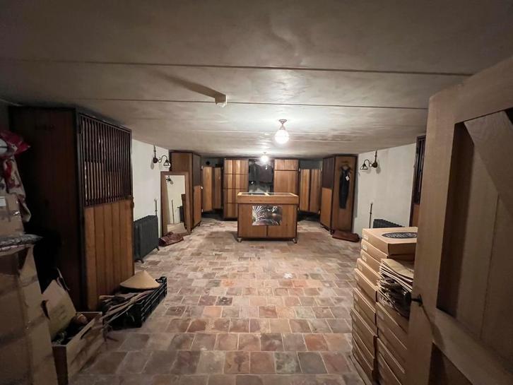 Partij hoogwaardige leren rijbroeken + bijhorende houders, Vêtements | Femmes, Culottes & Pantalons, Comme neuf, Enlèvement